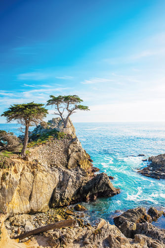 Glorious Coastal Getaways: Point Reyes, Santa Cruz, and Carmel-by-the-Sea